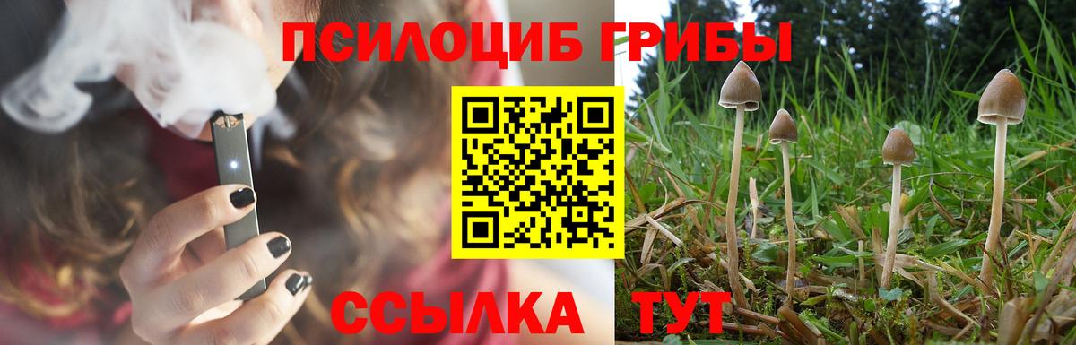 Галлюциногенные грибы мицелий  Вход с VPN  Энгельс 