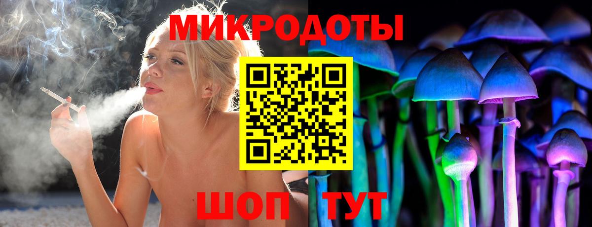 Галлюциногенные грибы Psilocybe Энгельс